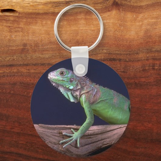 Porte-clés iguane vert (Recto)