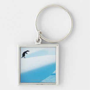Porte-clés Île de Petermann, Antarctique