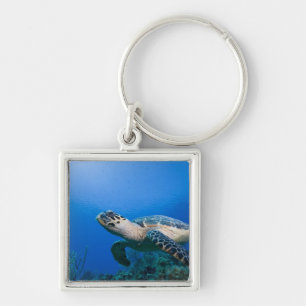 Porte-clés Îles Caïmans, Little Cayman Island, Sous l'eau 2