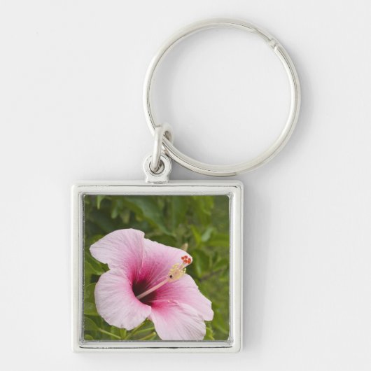 Porte-clés Îles Cook, Atiu. Fleur d'Hibiscus. (Devant)