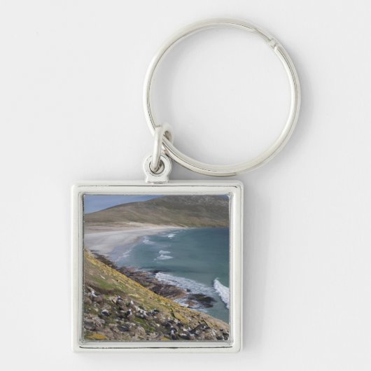Porte-clés Îles Falkland, Malouines occidentales, Saunders (Devant)