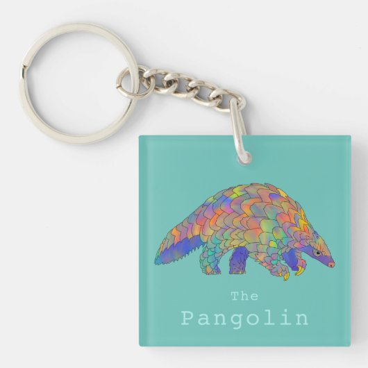 Porte-clés Illustration colorée de mignon Pangolin (Devant)