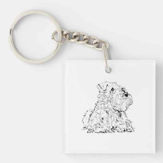 Porte-clés Illustration de chien Schnauzer miniature (Devant)