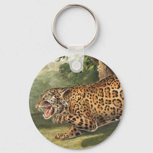 Porte-clés Illustration de Jaguar (Felis onca) (Recto)