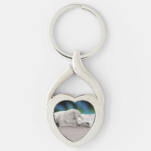 Porte-clés Illustration de la nature arctique de l'ours polai