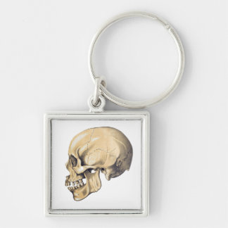 Porte-clés Illustration de l'anatomie crânienne vintage