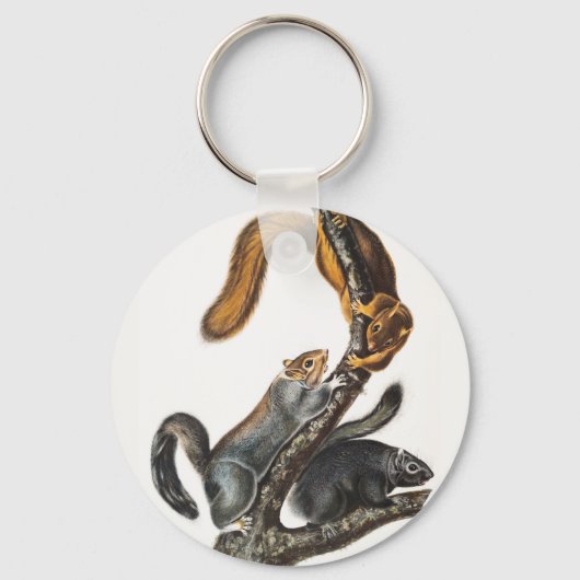 Porte-clés Illustration de l'écureuil de chat (Sciurus cinere (Recto)