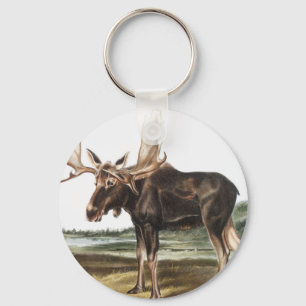 Porte-clés Illustration de Moose Deer (Servus alces)