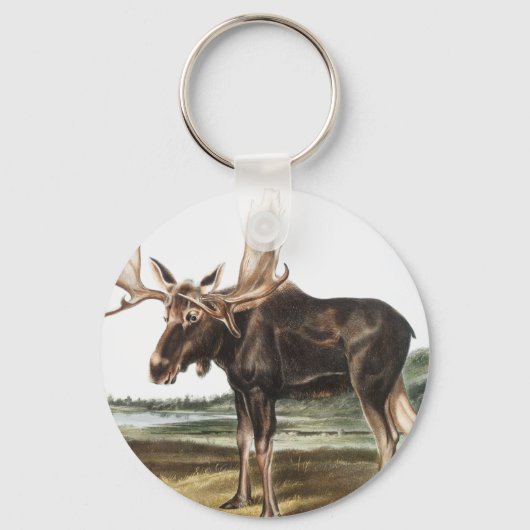 Porte-clés Illustration de Moose Deer (Servus alces) (Recto)