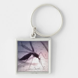 Porte-clés Illustration de mordre de moustique