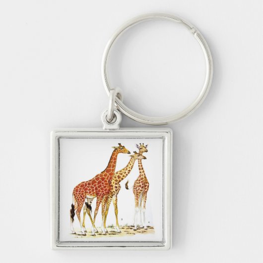 Porte-clés Illustration de trois girafes (Devant)