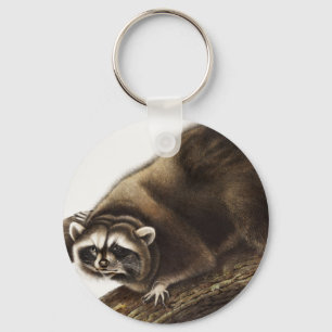 Porte-clés Illustration du raton laveur (Procyon lotor)