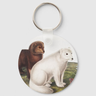 Porte-clés Illustration du renard arctique (Vulpes lagopus)