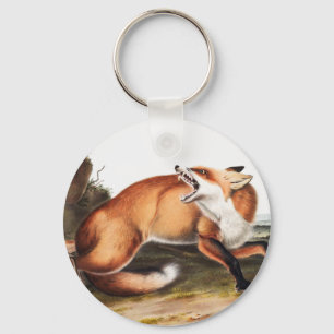 Porte-clés Illustration du Renard rouge américain (Vulpes Ful