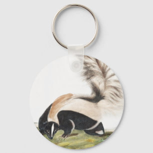 Porte-clés Illustration LargeTail Skunk Mephitis macroura