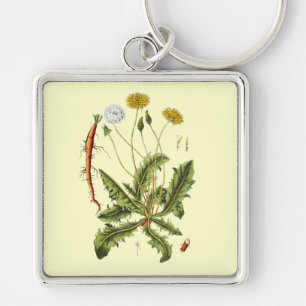 Porte-clés Illustration vintage du Dandelion