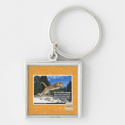 Porte-clés Image de chat (Devant)