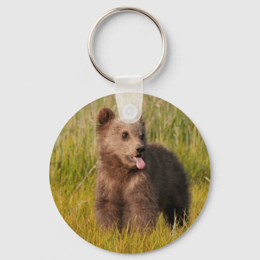 Porte-clés Images Getty | Drôle bébé ours (Recto)