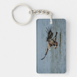 Porte-clés Immature Bald Eagle plongée pour un poisson