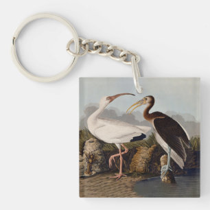 Porte-clés Impression d'oiseau Ibis blanc de John James Audub