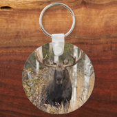 Porte-clés Impressionnant orignal (Recto)