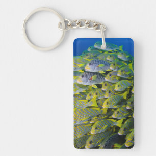 Porte-clés Indonésie. Banc de poissons