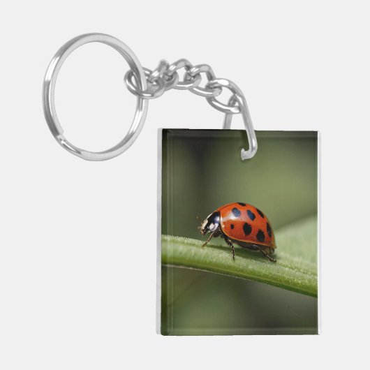 Porte-clés Insecte de Ladybug (Devant gauche)