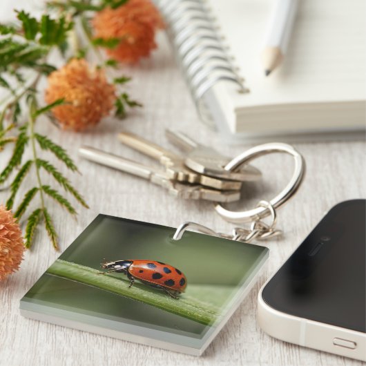 Porte-clés Insecte de Ladybug (Devant Droit)