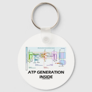 Porte-clés Intérieur de génération de triphosphate