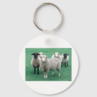 Porte-clés Iowa Sheep