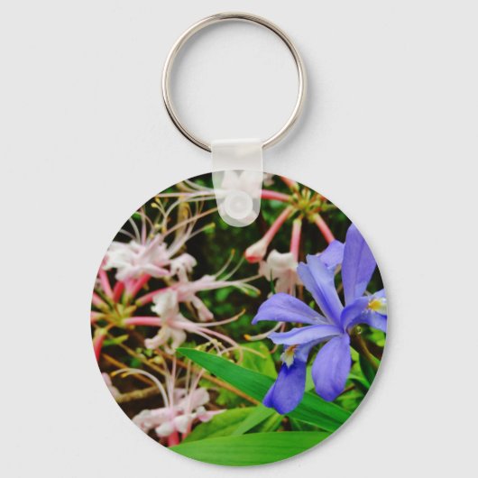 Porte-clés Iris Nain Crêché (Recto)