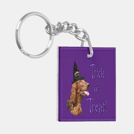 Porte-clés Irish Setter Trick (Devant gauche)