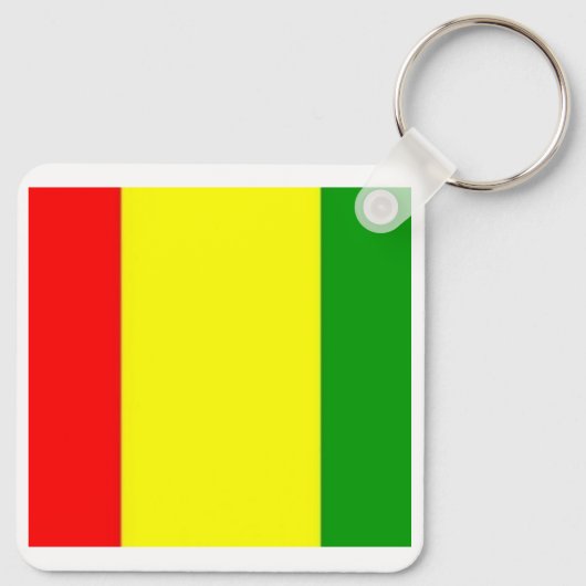 Porte-clés Irlande Carlow Castle, Comté GAA Drapeau (Dos)