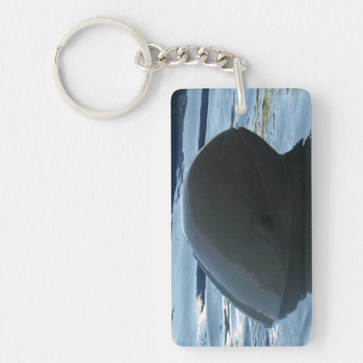 Porte-clés Irrawaddy Dolphin Peek-A-Boo (Devant)