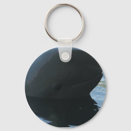 Porte-clés Irrawaddy Dolphin Peek-A-Boo (Recto)
