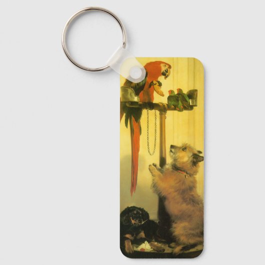 Porte-clés Islay, Tilco, un Macaw et des Inséparables de Land (Recto)