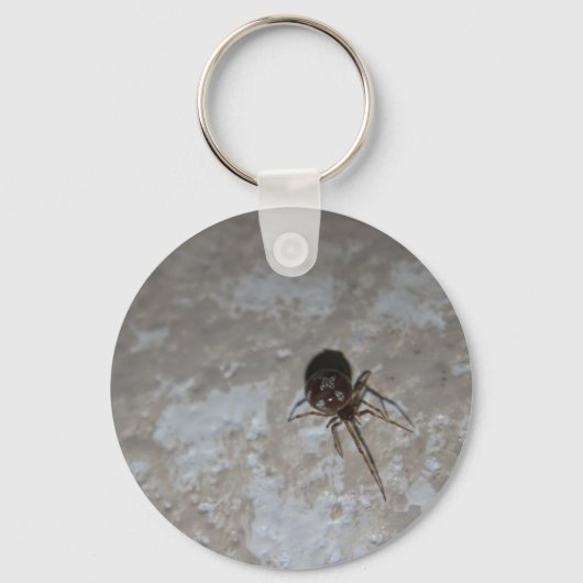 Porte-clés Itsy Bitsy Spider #3 (Recto)