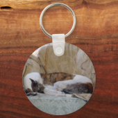 Porte-clés Jack le Greyhound (Recto)