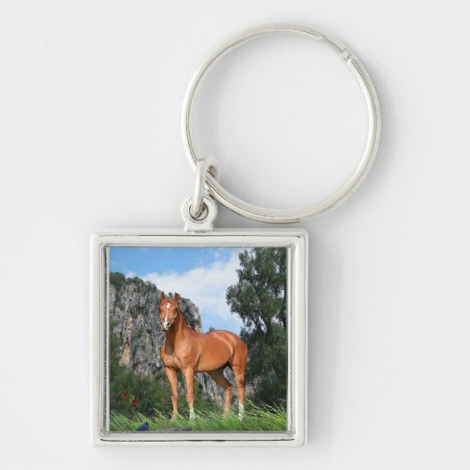 Porte-clés J'adore les chevaux (Devant)