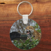 Porte-clés Jaguar Growl (Recto)