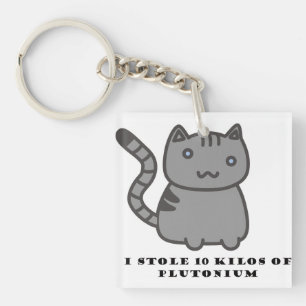 Porte-clés J'ai volé 10 kilos de chat en plutonium