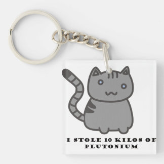 Porte-clés J'ai volé 10 kilos de chat en plutonium