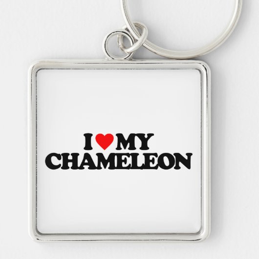 PORTE-CLÉS J'AIME MON CAMÉLÉON (Devant)
