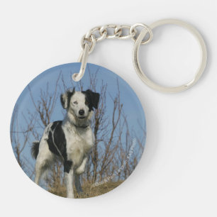 Porte-clés Jambe de border collie augmentée