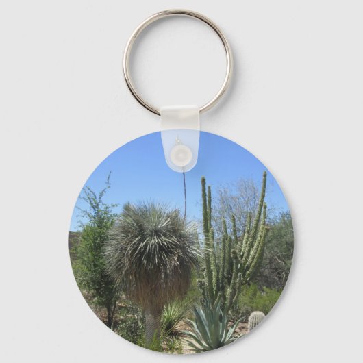 Porte-clés Jardin de Cactus (Recto)