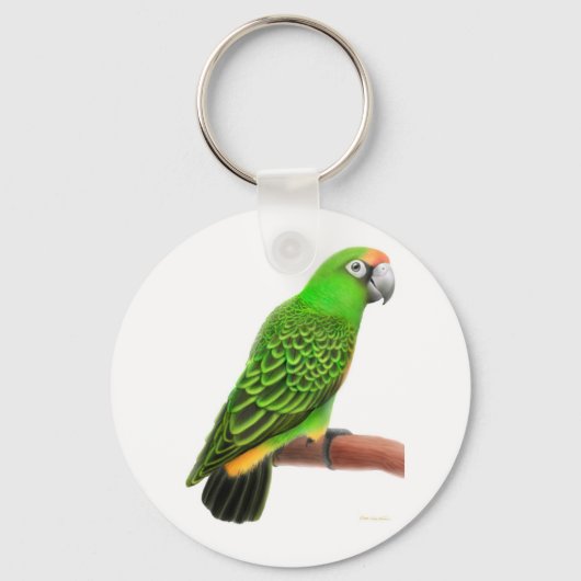 Porte-clés Jardines Parrot Porte - clé (Recto)