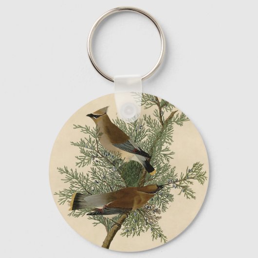 Porte-clés Jaseur cèdre d'Audubon (Recto)