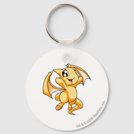Porte-clés Jaune de Shoyru (Recto)