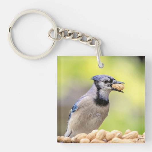 Porte-clés Jay bleu avec arachide (Devant)
