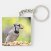 Porte-clés Jay bleu avec arachide (Dos)